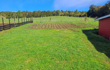 Linda Parcela Próxima A Carretera Austral