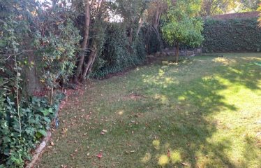 Espectacular Ubicación Jardín Del Este