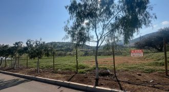 Parcela, Hacienda Chacabuco, 5.000 Metros