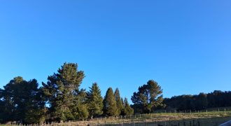 Linda Parcela Con Bosque Nativo, Pichiquillaipe, Puerto Mont