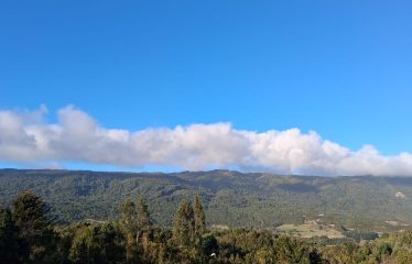 Linda Parcela Con Bosque Nativo, Pichiquillaipe, Puerto Mont