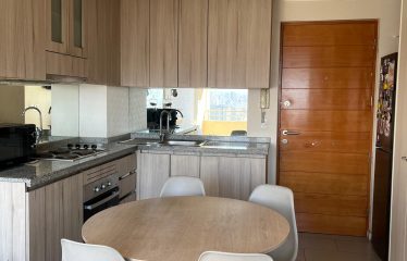 Luminoso Departamento Con Estacionamiento Y Bodega