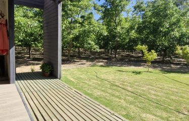 Parcela En Producción De Nogales, Casa Nueva, Champa, Paine