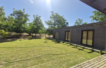 Parcela En Producción De Nogales, Casa Nueva, Champa, Paine