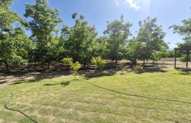 Parcela En Producción De Nogales, Casa Nueva, Champa, Paine