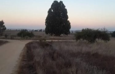 La parcela perfecta para construir tu nueva vida