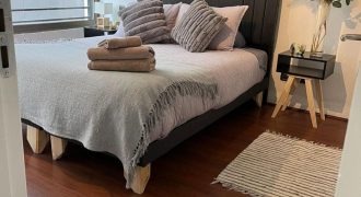 Departamento de 1 dormitorio en Providencia