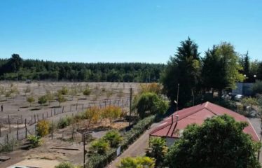 Terreno en excelente ubicación con gran potencial
