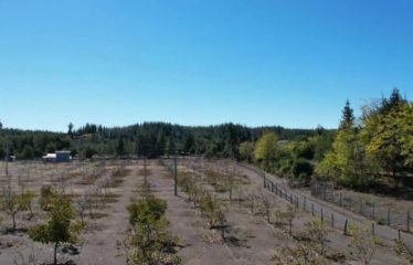 Terreno en excelente ubicación con gran potencial