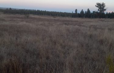 Parcela en zona de crecimiento sostenido