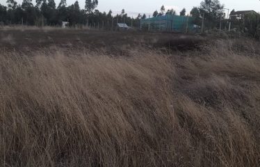 Parcela en zona de crecimiento sostenido