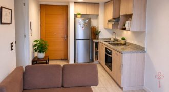 Departamento de 1 dormitorio en Santiago Centro