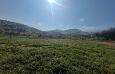 Terreno de 5.000 m² en área de preservación ecológica