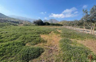 Terreno de 5.000 m² en área de preservación ecológica