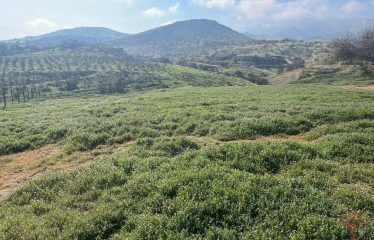Terreno de 5.000 m² en área de preservación ecológica