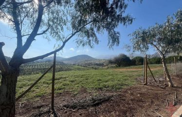 Terreno de 5.000 m² en área de preservación ecológica