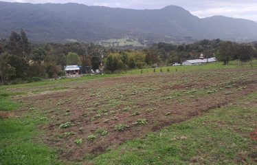 Amplia parcela con excelente acceso