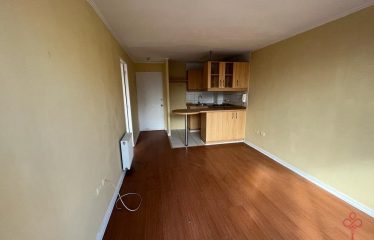 Departamento con dormitorio en suite en Santiago Centro