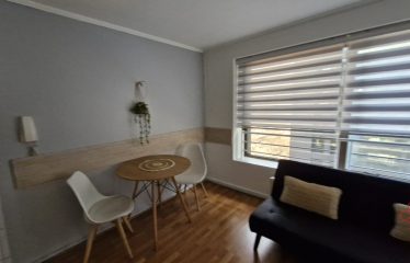 Departamento de 1 dormitorio en Providencia